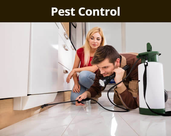 Pest Control - Spraying under an appliance.